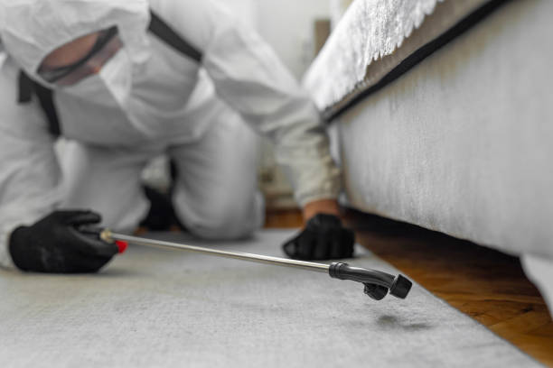 Professional Bed Bug Control technician working in Montgomery, IN