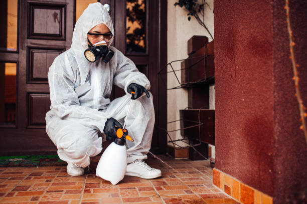 Reliable Bed Bug Control contractor in Montgomery, IN by Nex Pest Control
