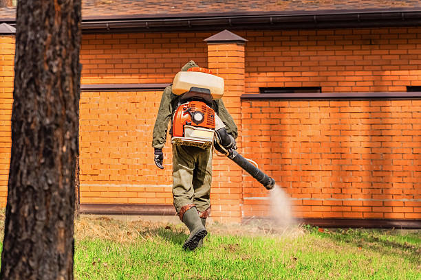 Top rated local Bed Bug Control specialists in Montgomery, IN